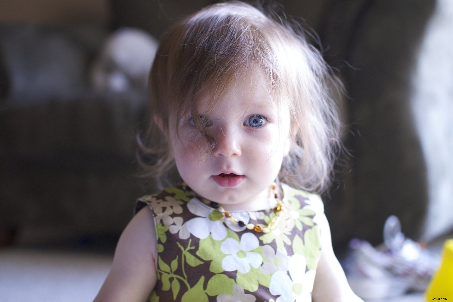 4 Essential Reasons Every Photographer Should Review Old Photos