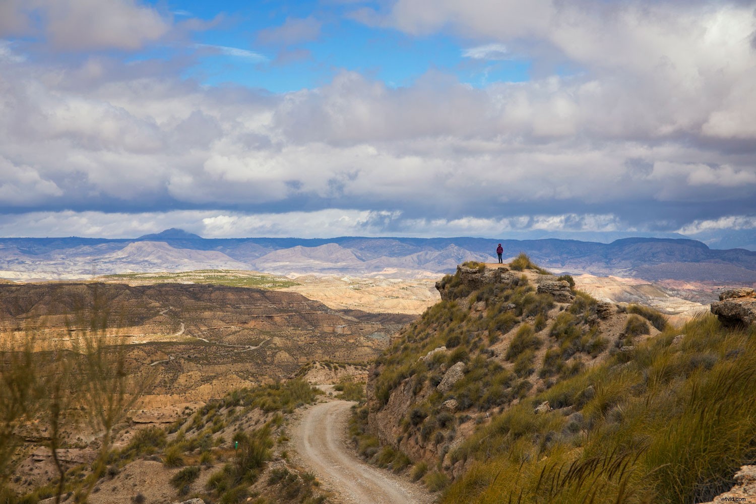 Master Vibrant Colors in Photography: Expert Tips for Stunning Results