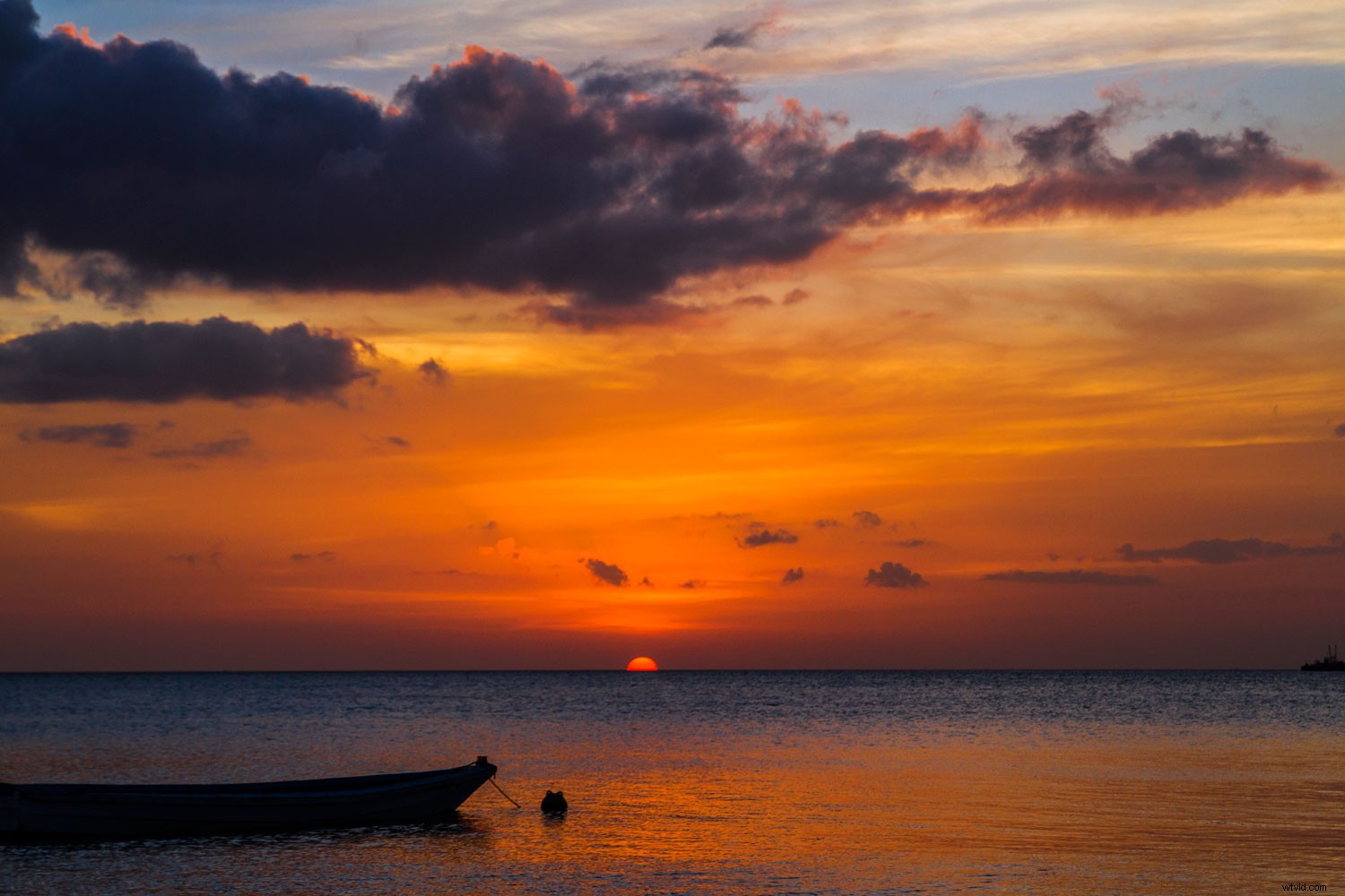 Master Vibrant Colors in Photography: Expert Tips for Stunning Results