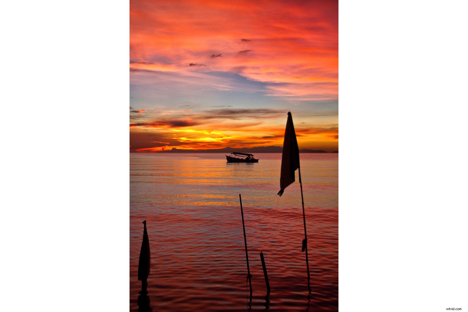 Master Vibrant Colors in Photography: Expert Tips for Stunning Results