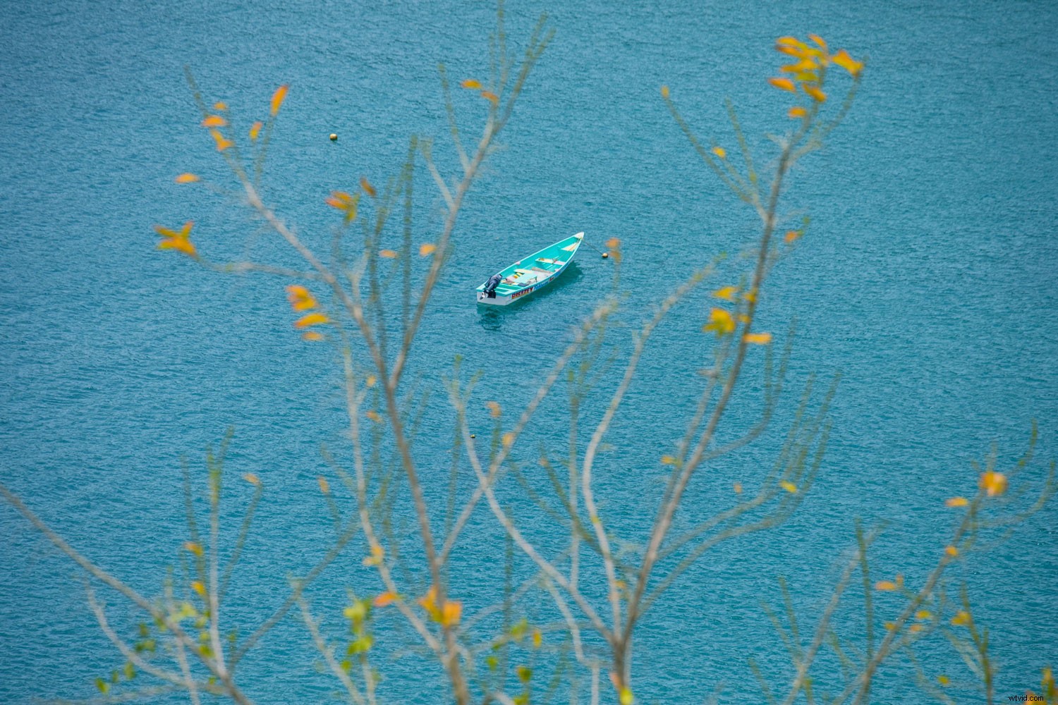 Master Vibrant Colors in Photography: Expert Tips for Stunning Results