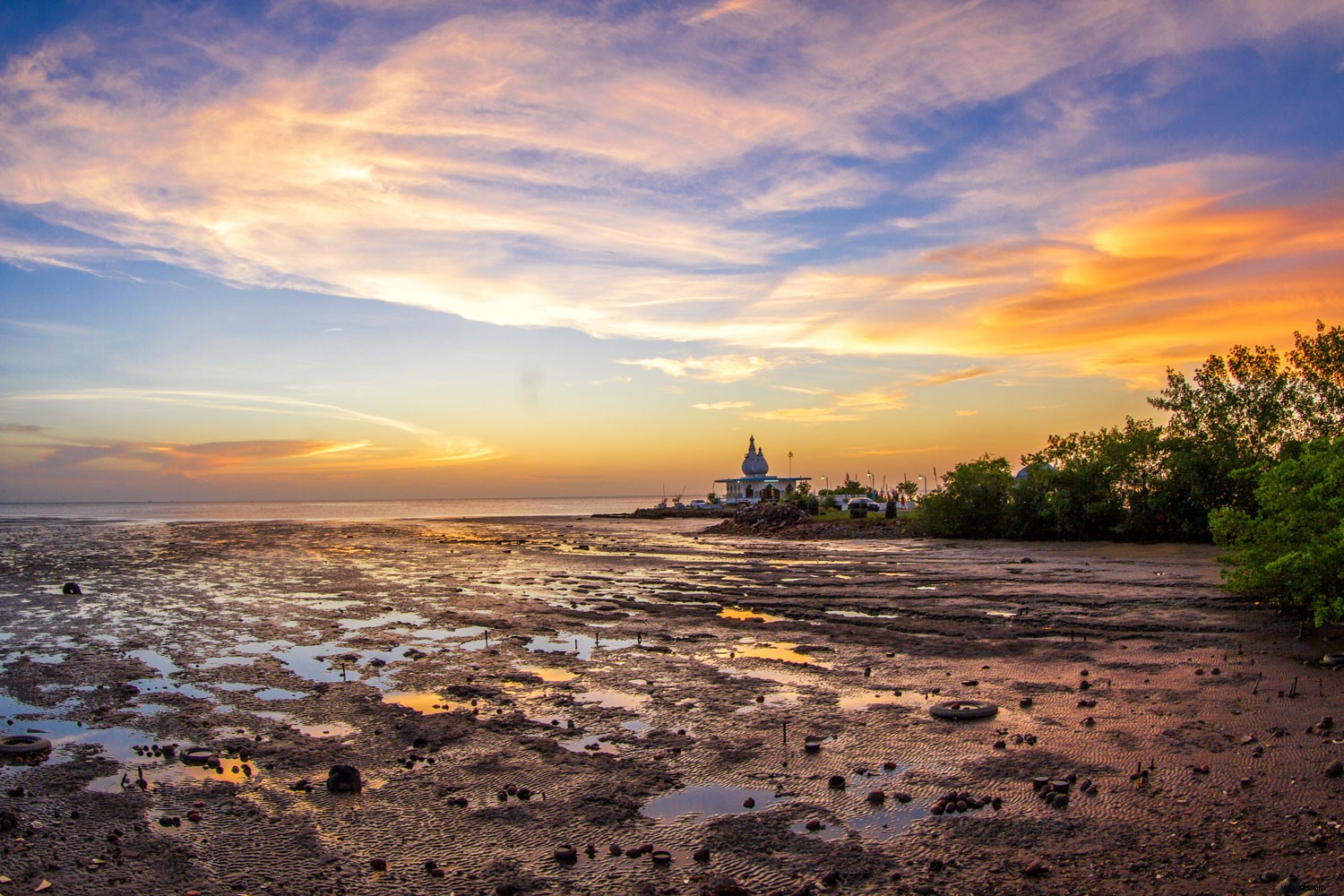 Master Vibrant Colors in Photography: Expert Tips for Stunning Results