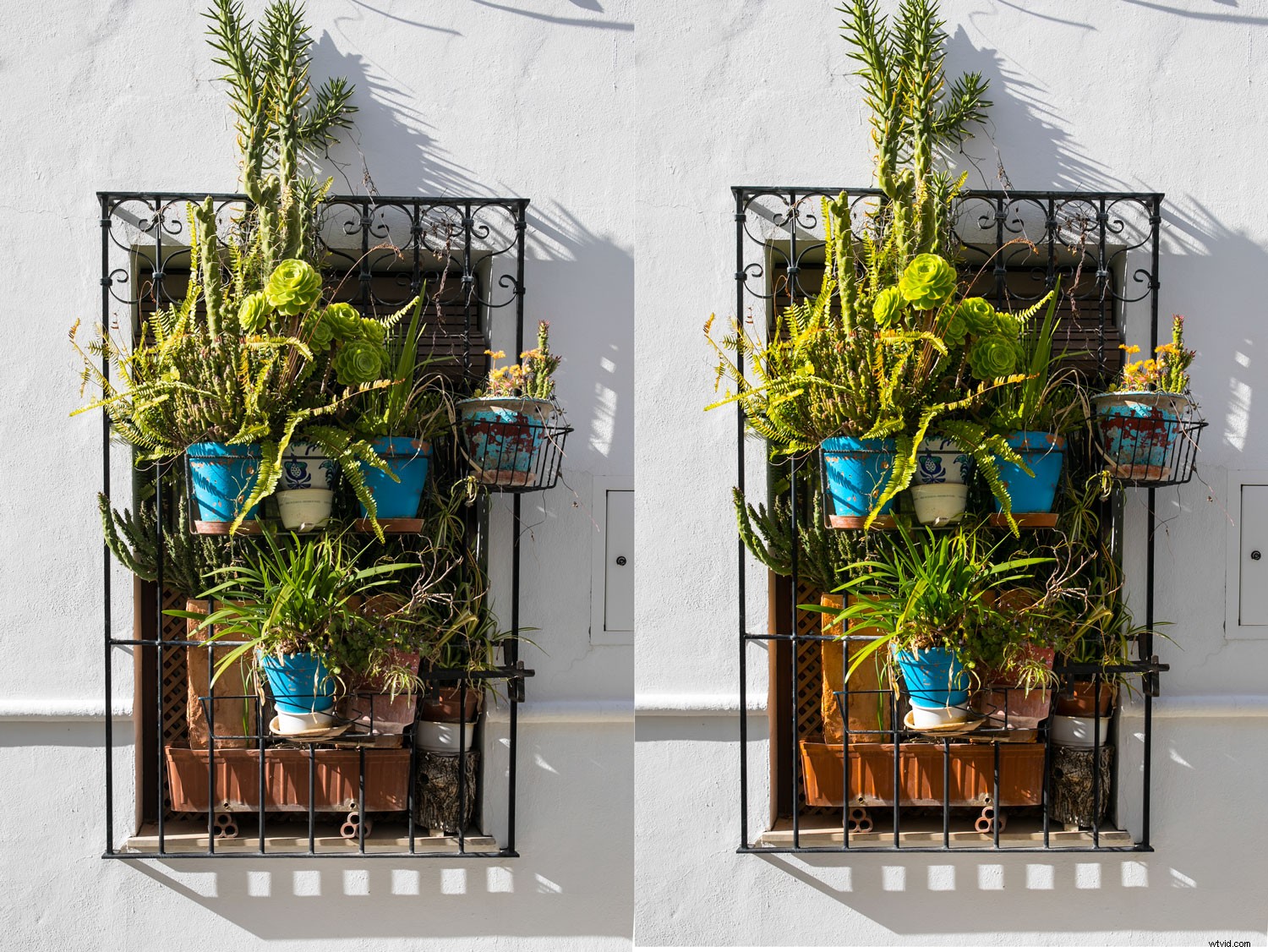 Master Vibrant Colors in Photography: Expert Tips for Stunning Results