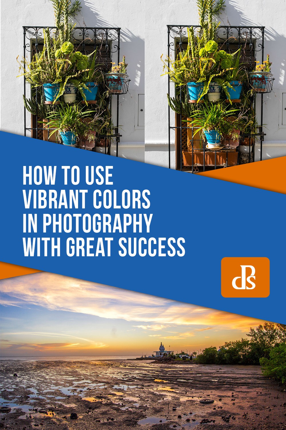 Master Vibrant Colors in Photography: Expert Tips for Stunning Results