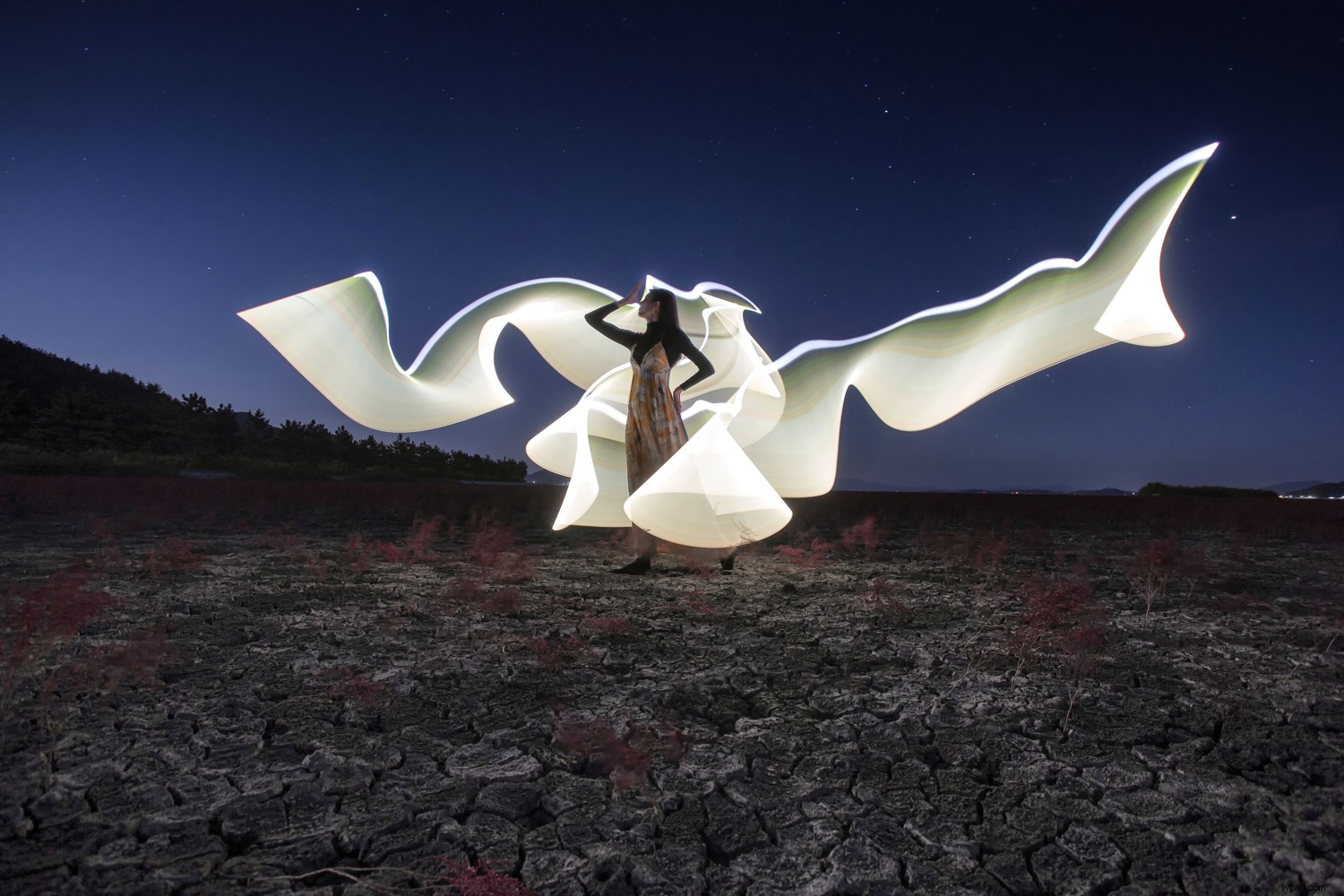 Top 10 Must-Have Camera Accessories to Elevate Your Photography in the New Year