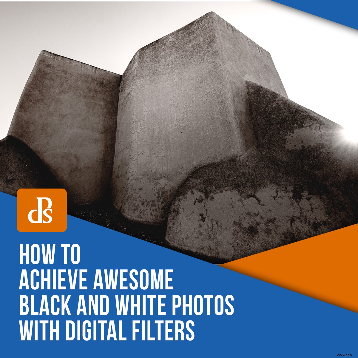 Master Stunning Black & White Photography with Digital Filters: Expert Guide