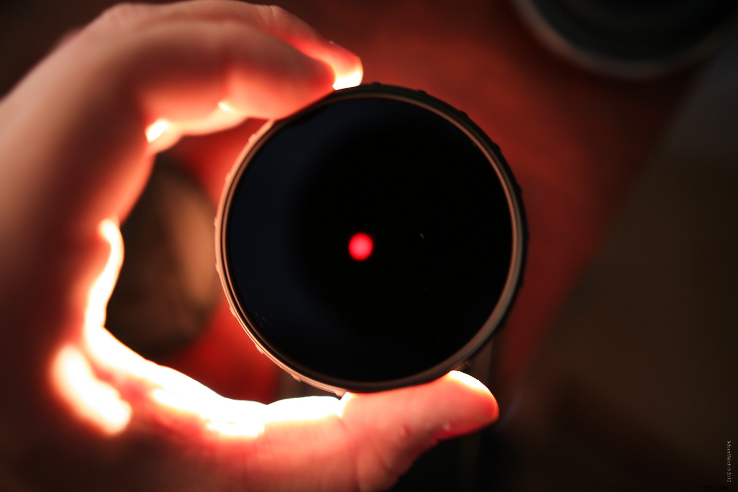 Master Stunning Black & White Photography with Digital Filters: Expert Guide