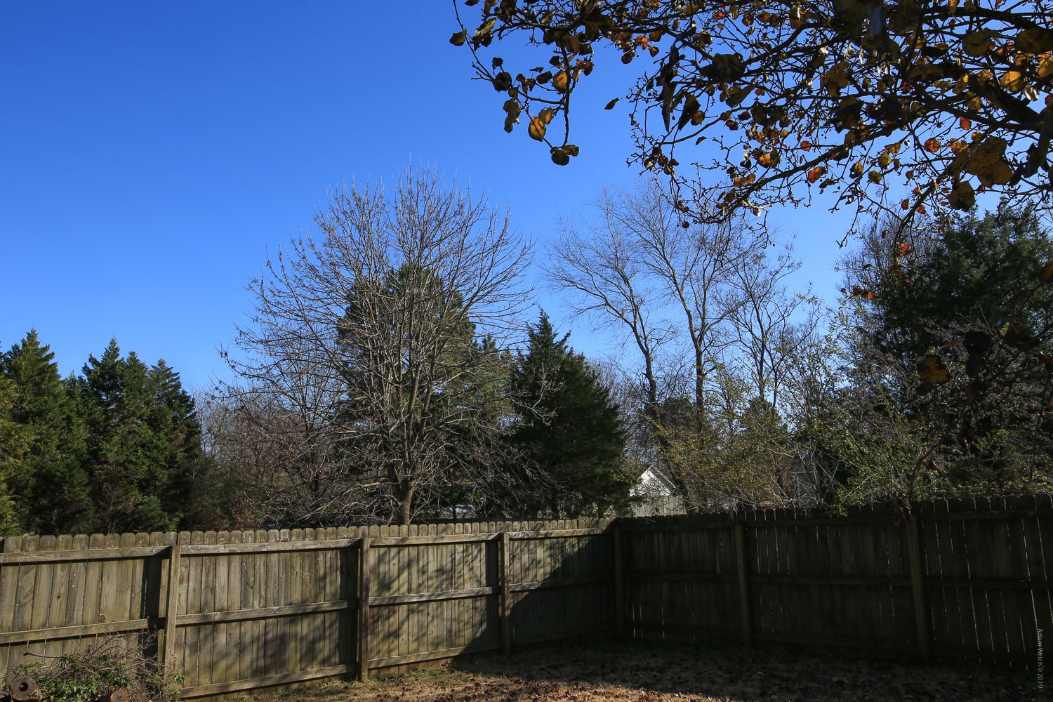 Master Stunning Black & White Photography with Digital Filters: Expert Guide