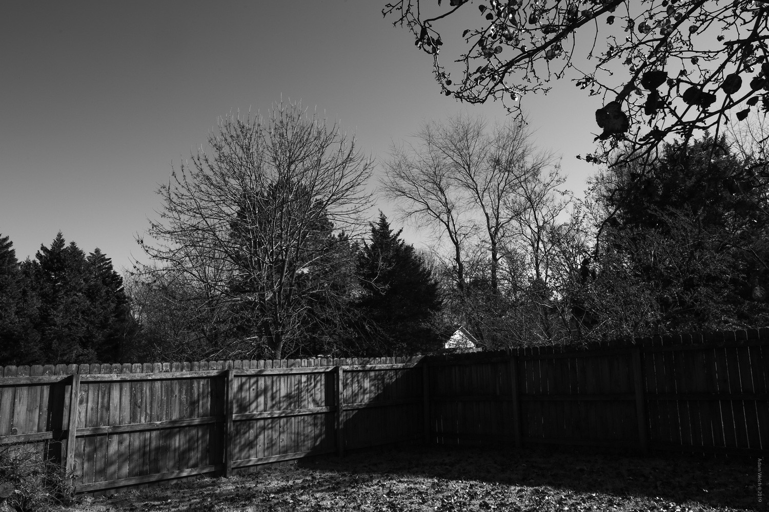 Master Stunning Black & White Photography with Digital Filters: Expert Guide