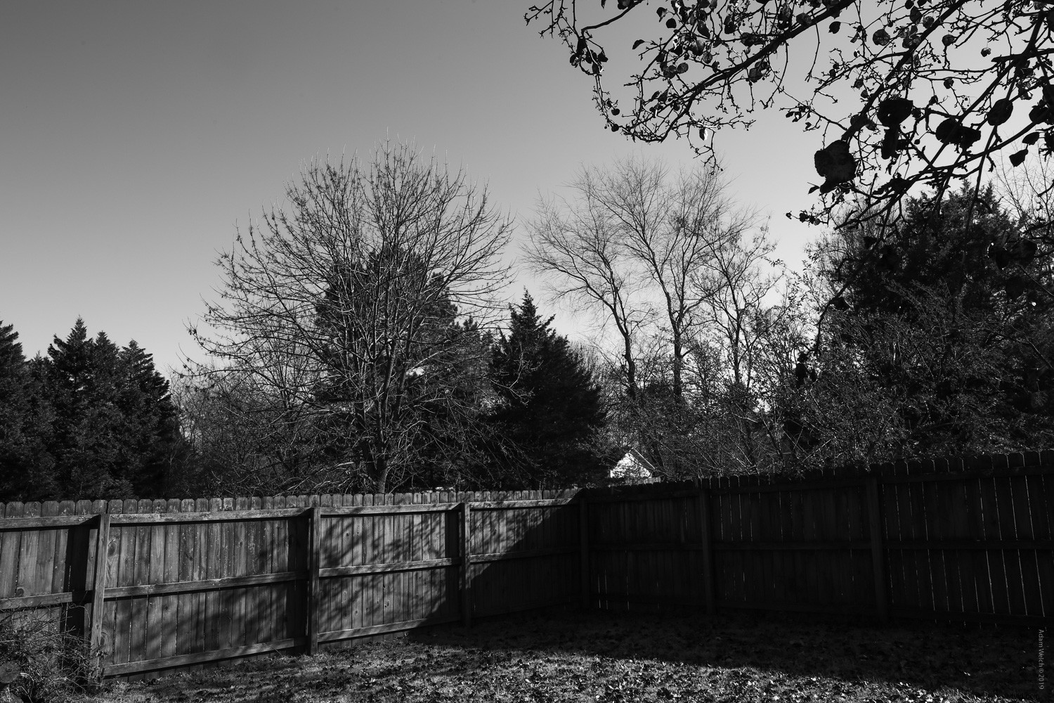 Master Stunning Black & White Photography with Digital Filters: Expert Guide