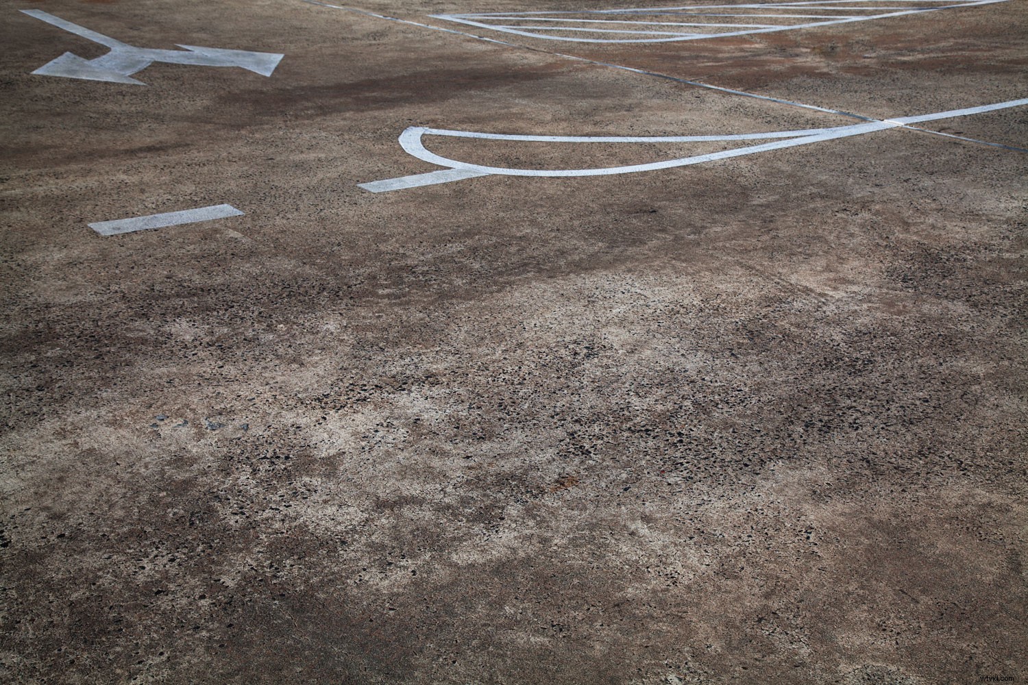 Shape vs. Form in Photography: Key Differences and How to Use Them