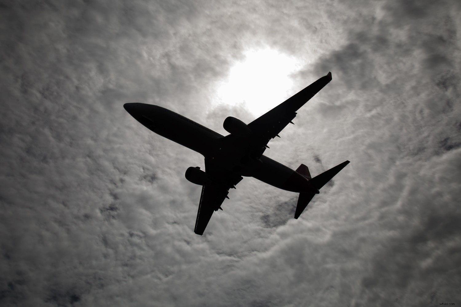 Shape vs. Form in Photography: Key Differences and How to Use Them