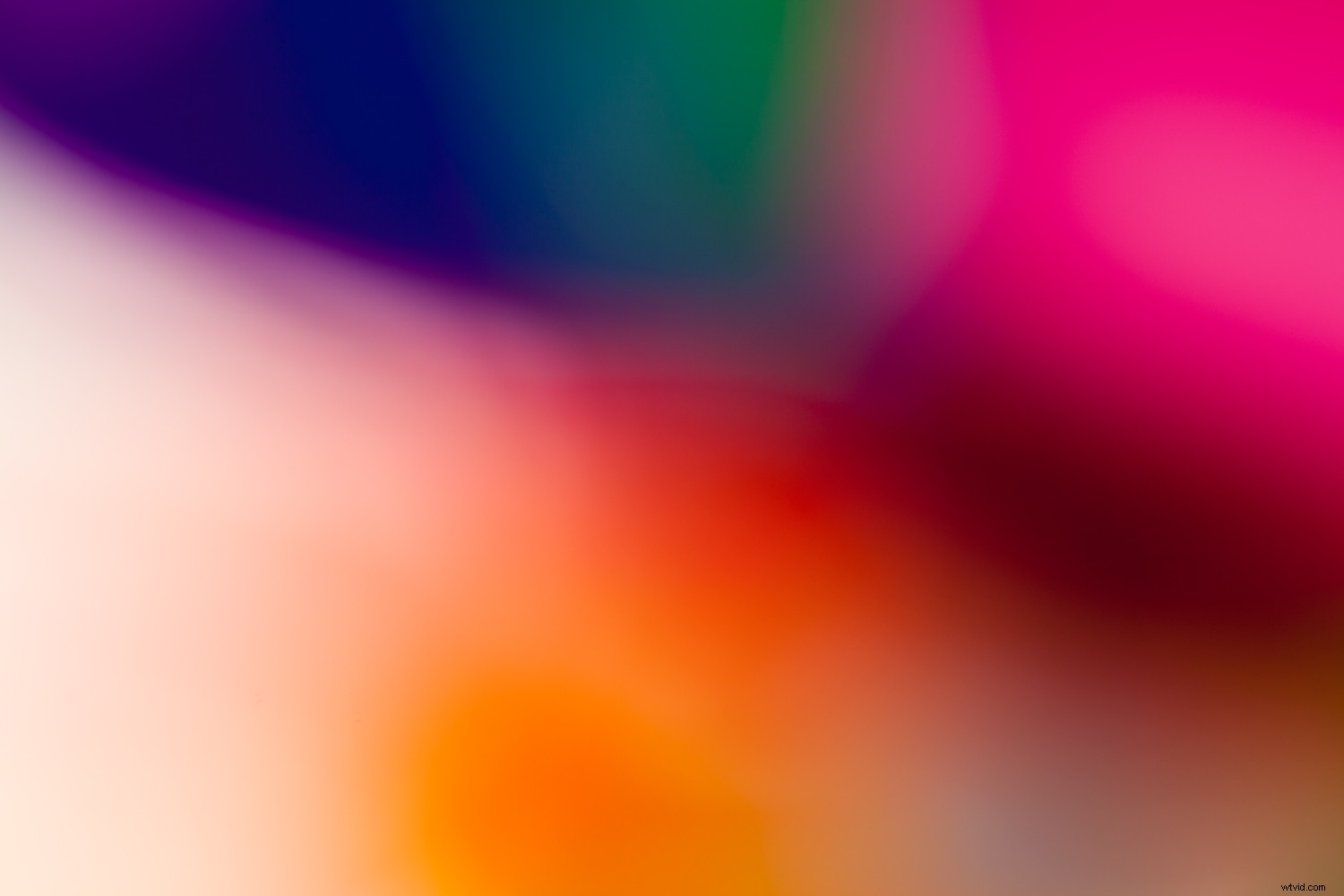 Shape vs. Form in Photography: Key Differences and How to Use Them