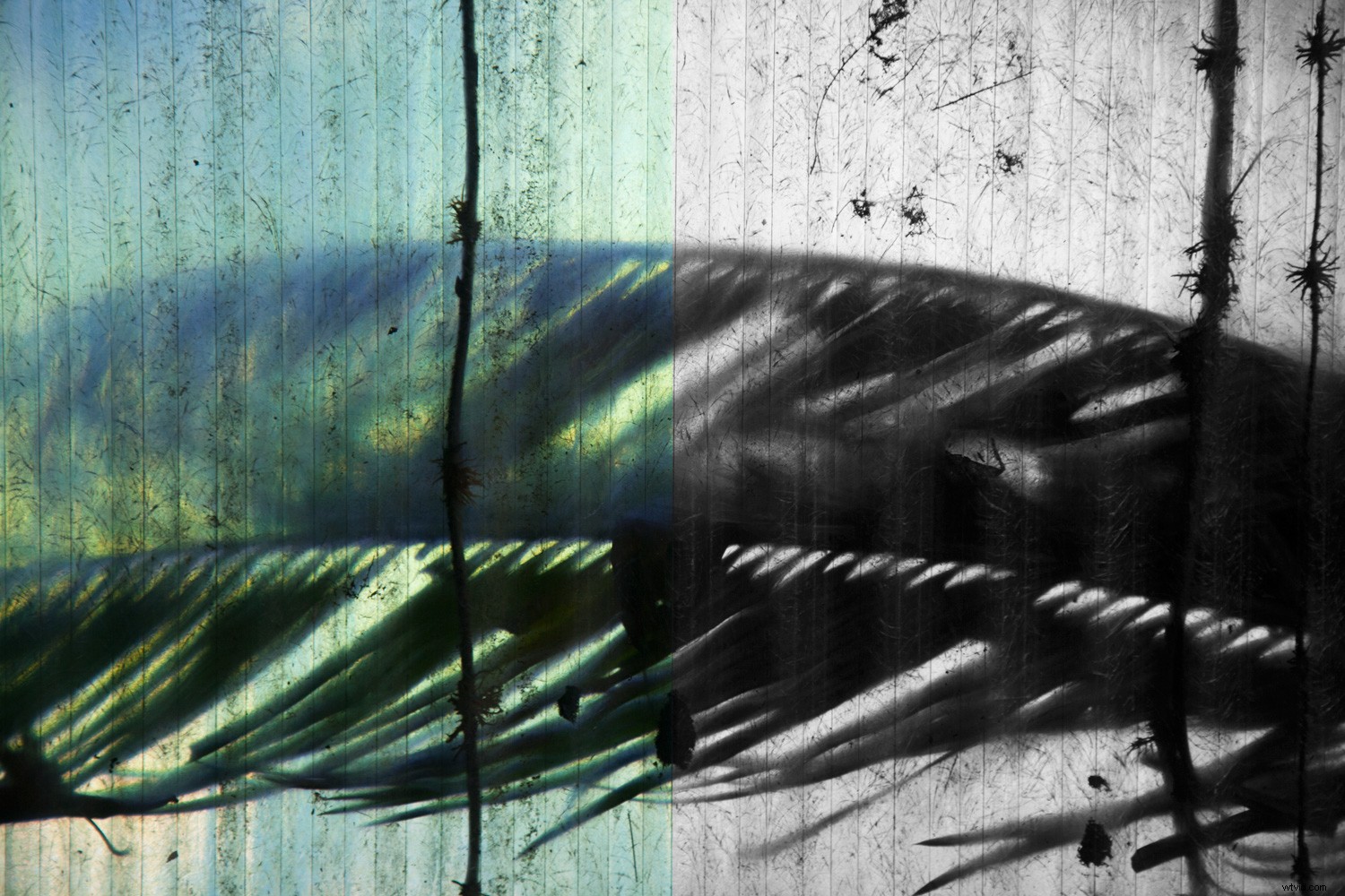 Shape vs. Form in Photography: Key Differences and How to Use Them