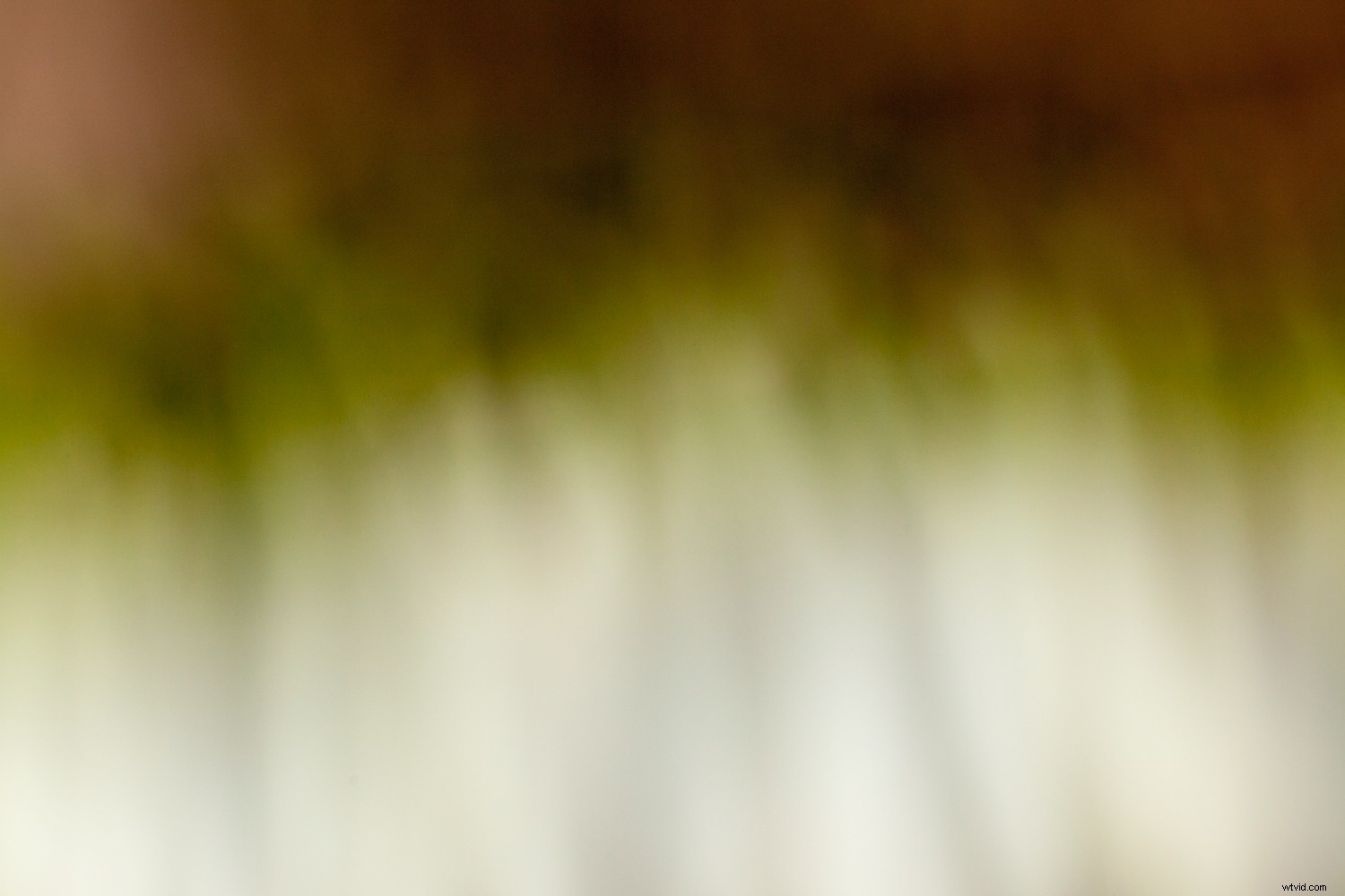 Shape vs. Form in Photography: Key Differences and How to Use Them