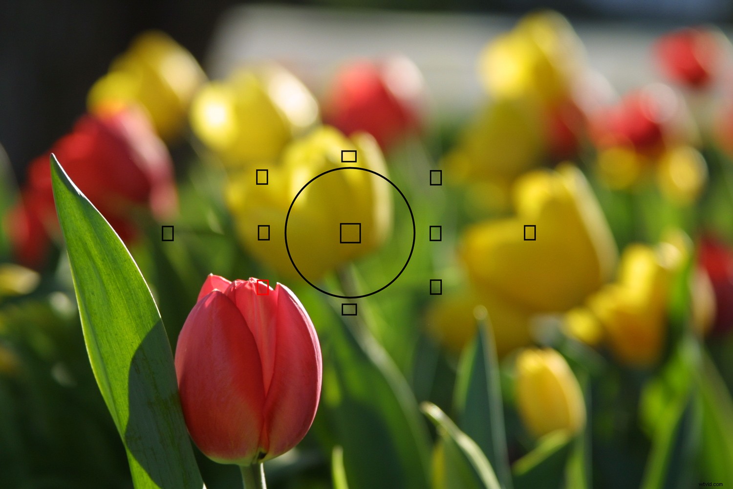 Prevent, Detect & Recover: Essential Guide to Avoiding Common Photography Mistakes