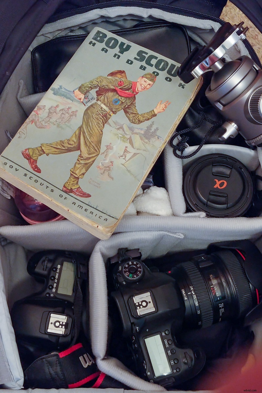 Prevent, Detect & Recover: Essential Guide to Avoiding Common Photography Mistakes