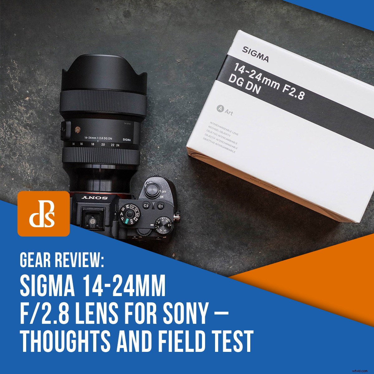 Sigma 14-24mm f/2.8 DG DN Art Lens for Sony E-Mount: In-Depth Review and Field Test