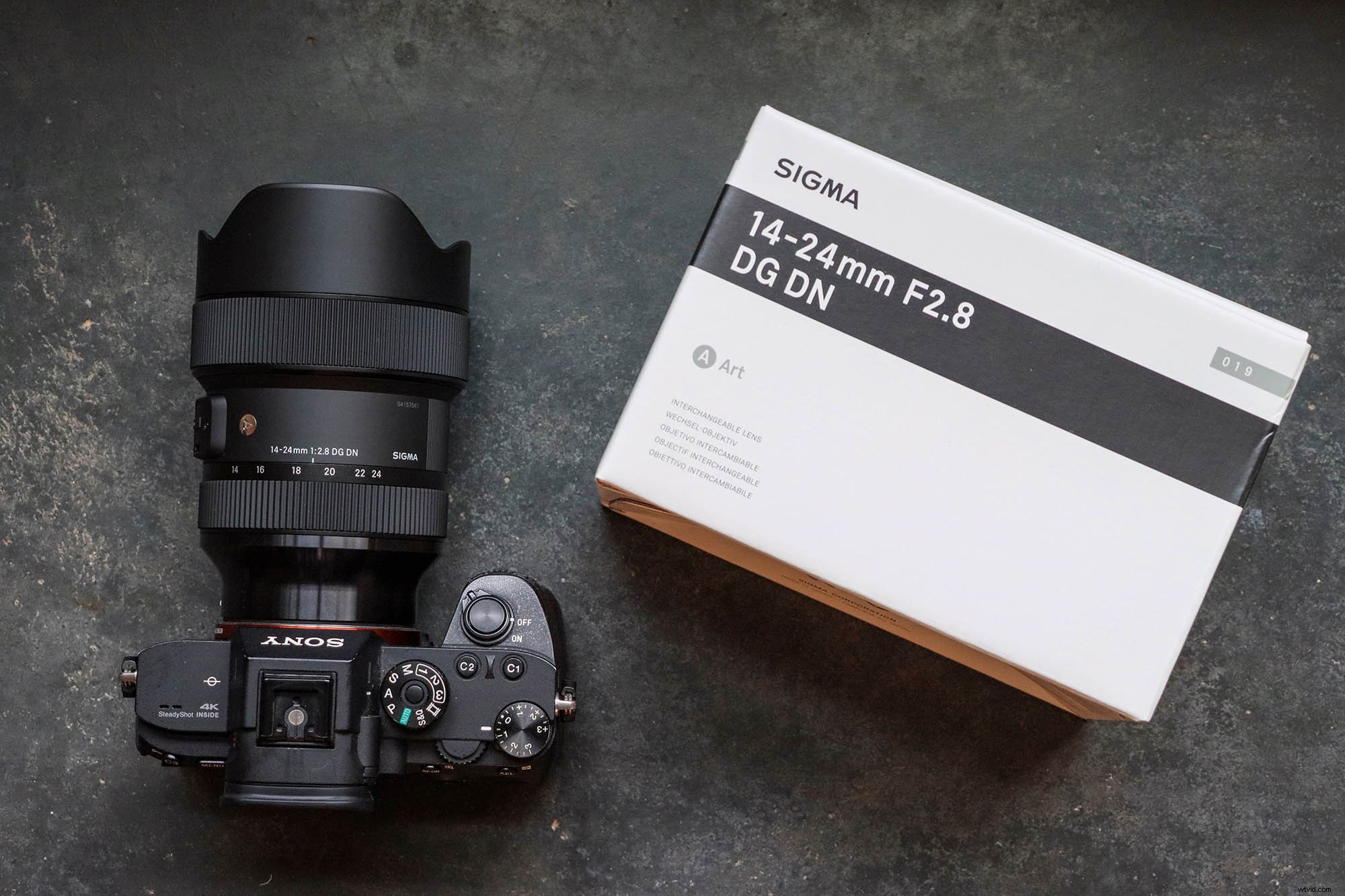 Sigma 14-24mm f/2.8 DG DN Art Lens for Sony E-Mount: In-Depth Review and Field Test