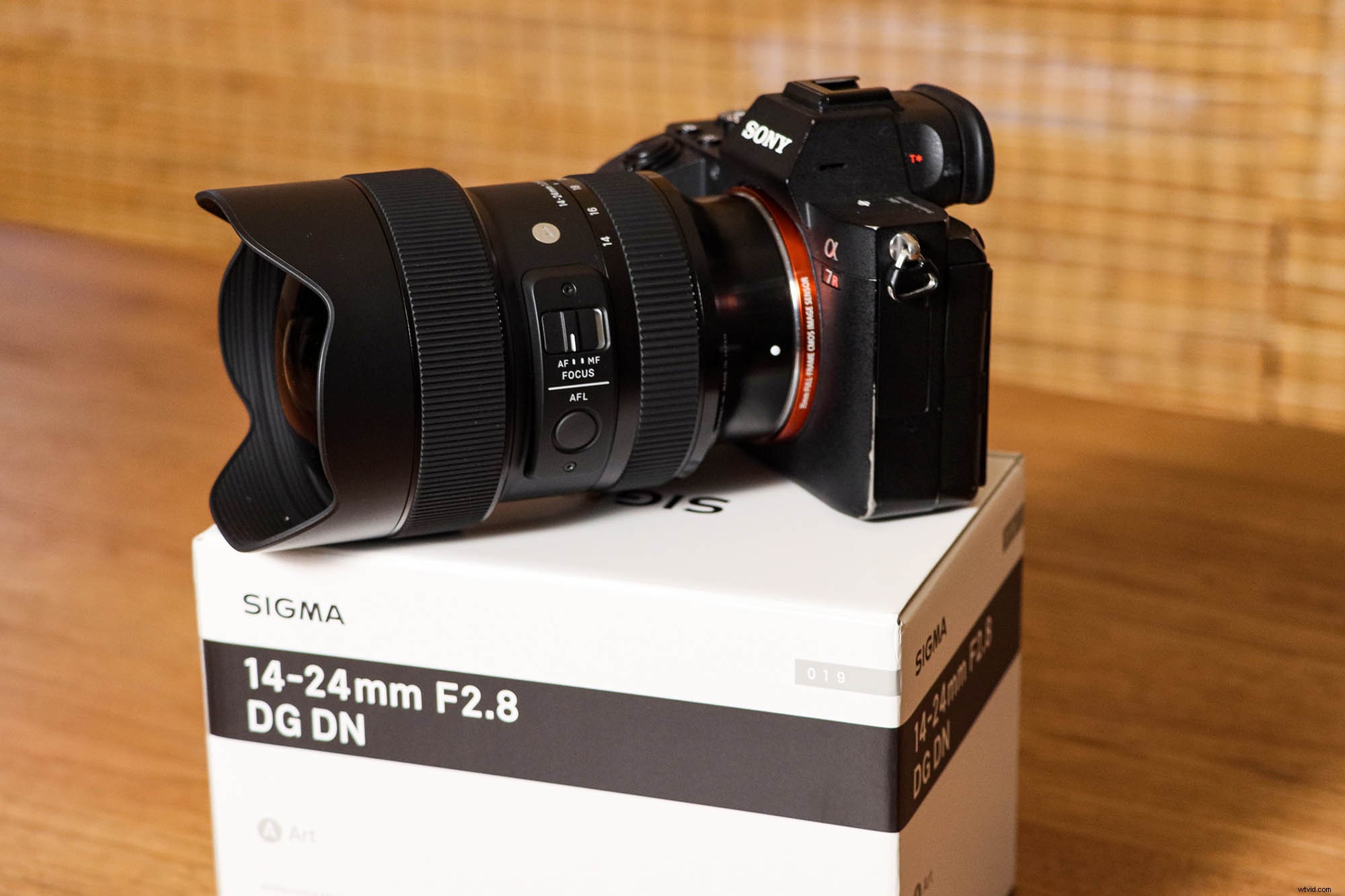 Sigma 14-24mm f/2.8 DG DN Art Lens for Sony E-Mount: In-Depth Review and Field Test
