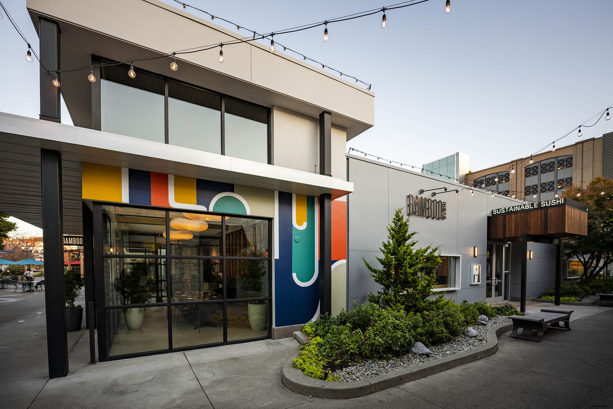 Sigma 14-24mm f/2.8 DG DN Art Lens for Sony E-Mount: In-Depth Review and Field Test