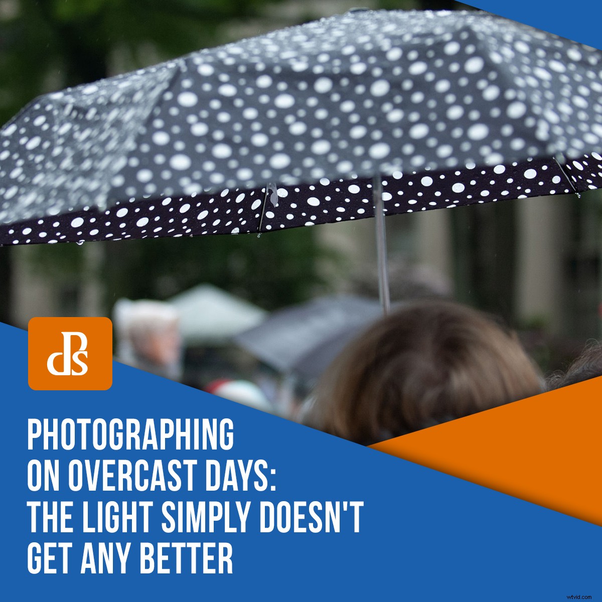 Why Overcast Days Deliver the Best Light for Photography: Capture Stunning Details