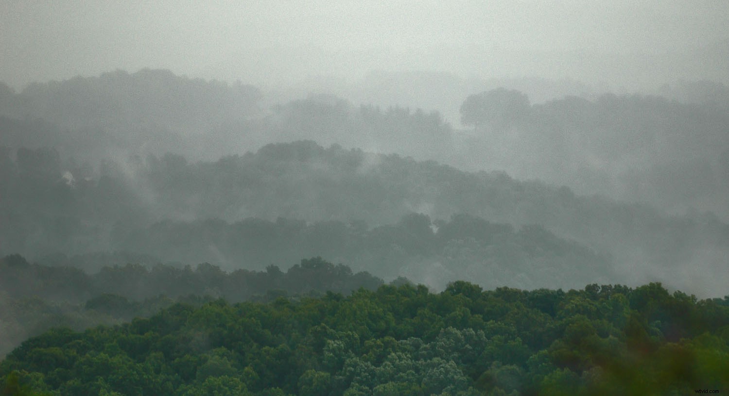 Why Overcast Days Deliver the Best Light for Photography: Capture Stunning Details