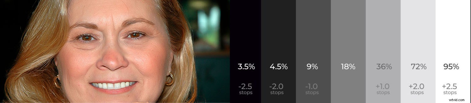 Why Overcast Days Deliver the Best Light for Photography: Capture Stunning Details