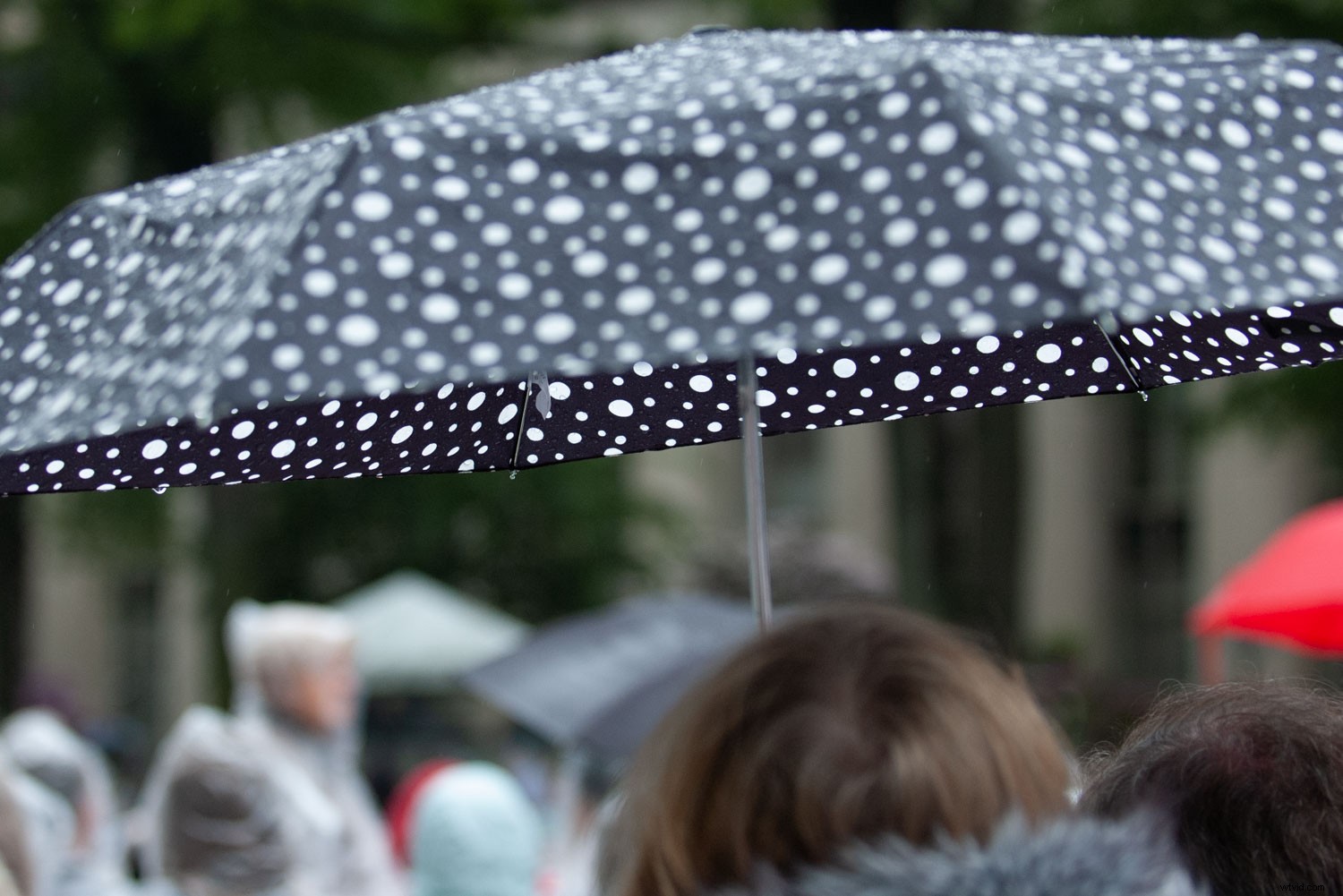 Why Overcast Days Deliver the Best Light for Photography: Capture Stunning Details