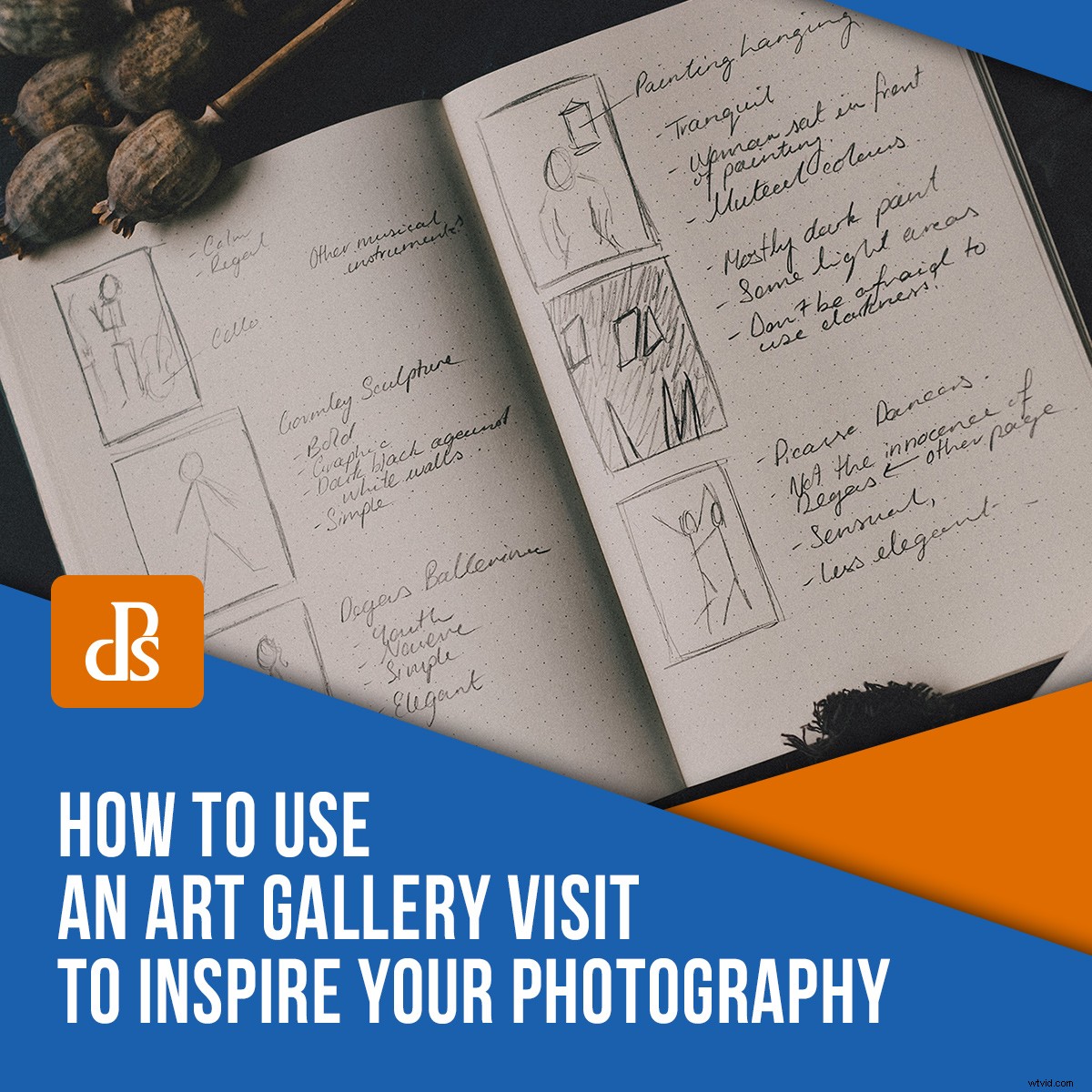 Elevate Your Photography: Harnessing Inspiration from Art Gallery Visits