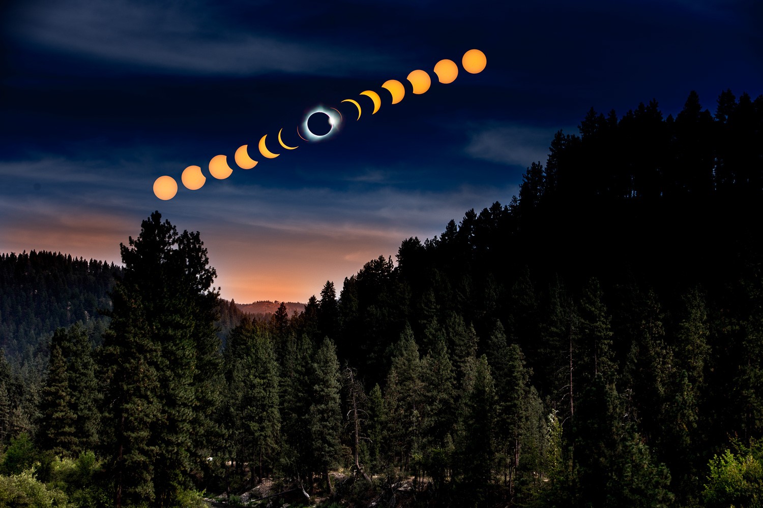 Master Convincing Photo Composites: Fake It to Make It