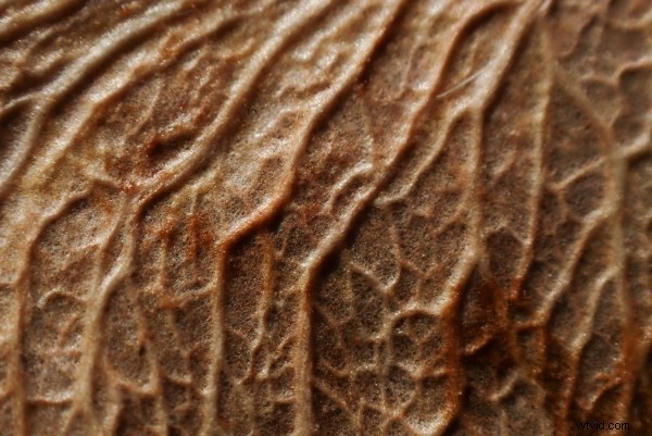 Olympus Tough TG-6 Review: The Ultimate Rugged Camera for Adventures