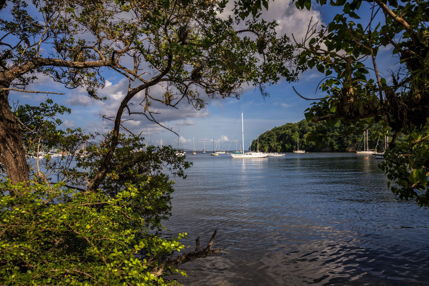 Unlock the Potential of the Canon 11‑24mm: 4 Expert Techniques