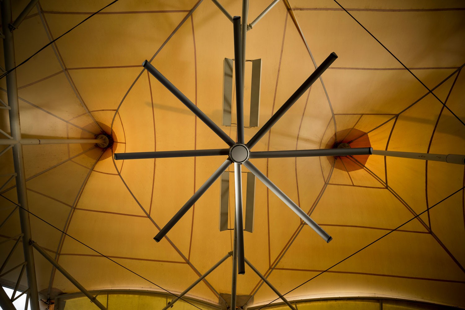 Unlock the Potential of the Canon 11‑24mm: 4 Expert Techniques