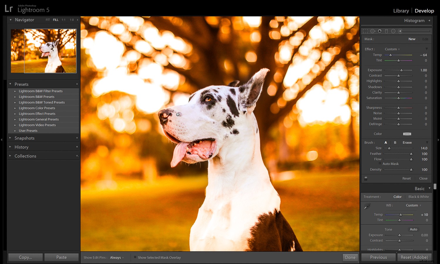Unlock Fall Magic: Edit Your Photos for Stunning Autumn Vibes Anywhere
