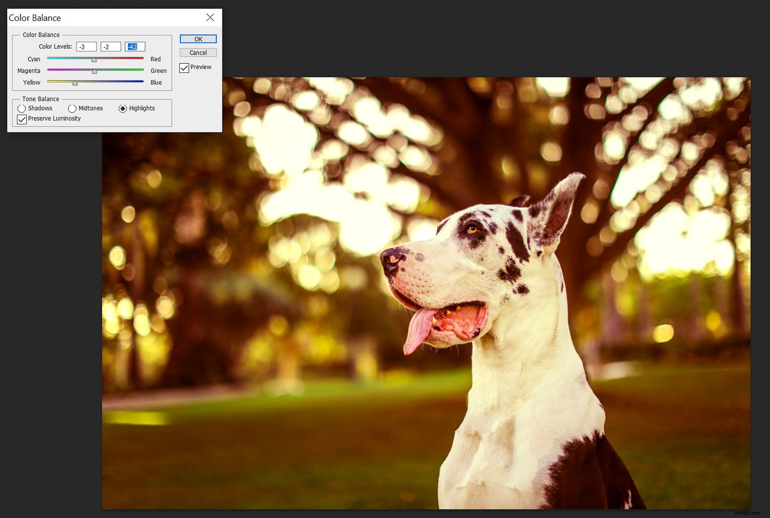 Unlock Fall Magic: Edit Your Photos for Stunning Autumn Vibes Anywhere