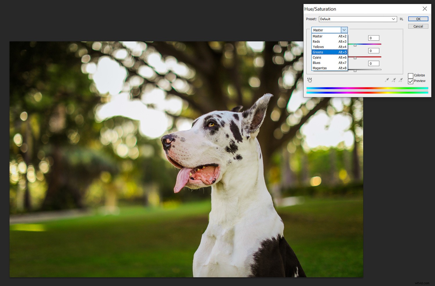 Unlock Fall Magic: Edit Your Photos for Stunning Autumn Vibes Anywhere