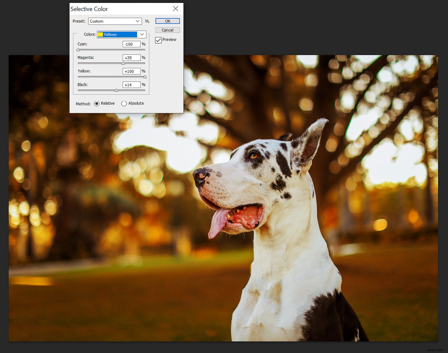 Unlock Fall Magic: Edit Your Photos for Stunning Autumn Vibes Anywhere