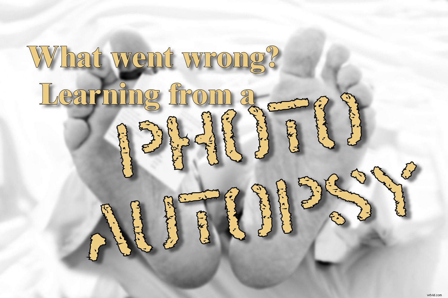 Photo Mistakes Exposed: Master the  Photo Autopsy  to Elevate Your Shots