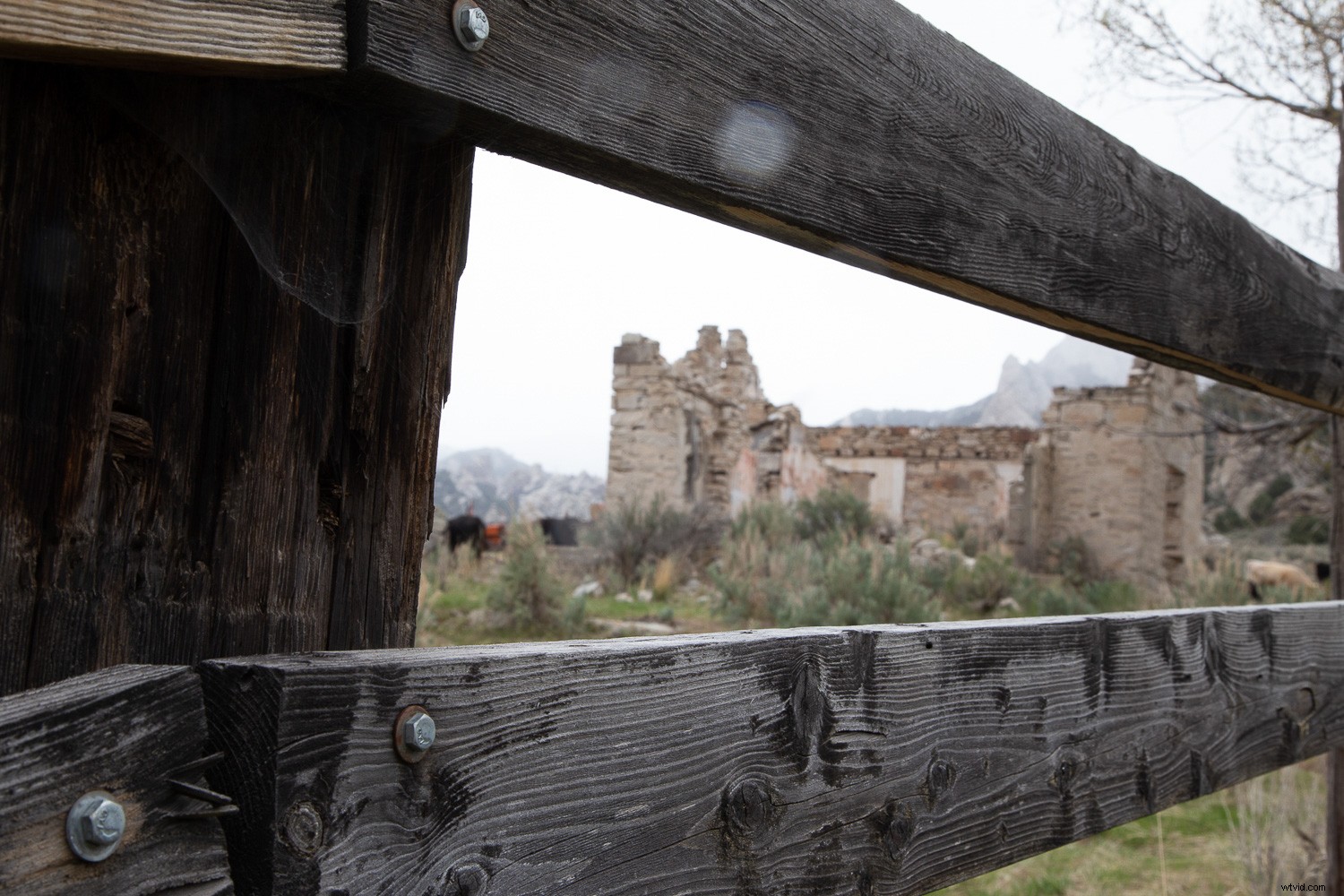 Photo Mistakes Exposed: Master the  Photo Autopsy  to Elevate Your Shots