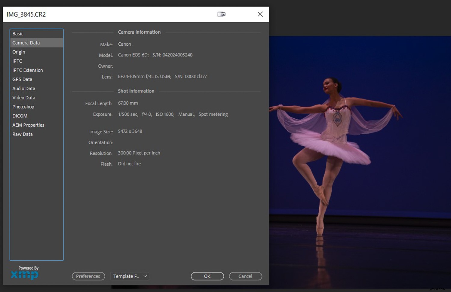 Photo Mistakes Exposed: Master the  Photo Autopsy  to Elevate Your Shots