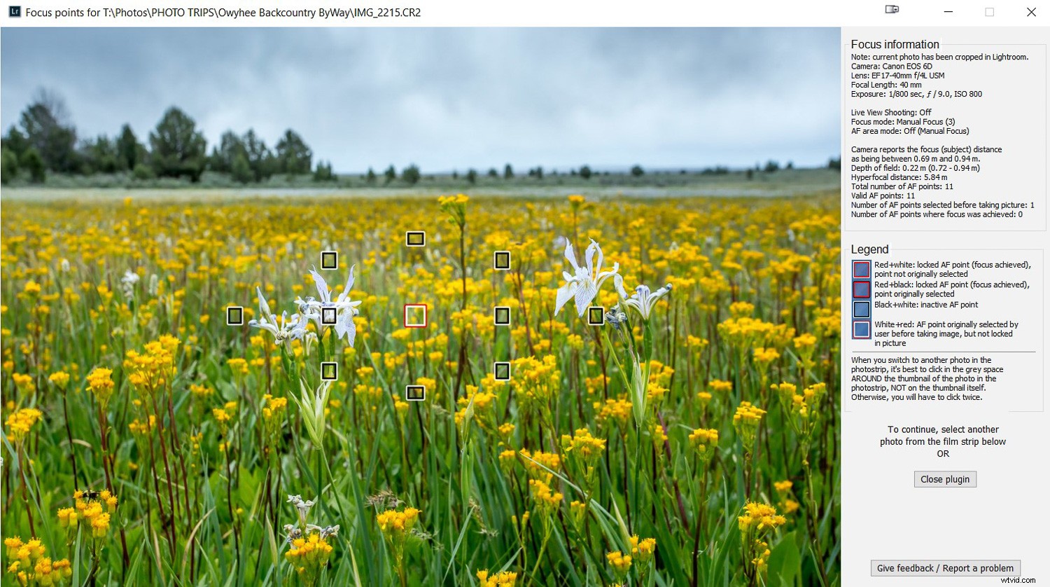 Photo Mistakes Exposed: Master the  Photo Autopsy  to Elevate Your Shots