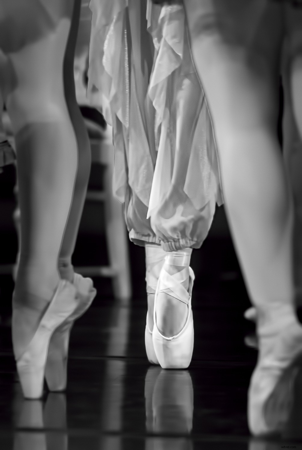 Photo Mistakes Exposed: Master the  Photo Autopsy  to Elevate Your Shots