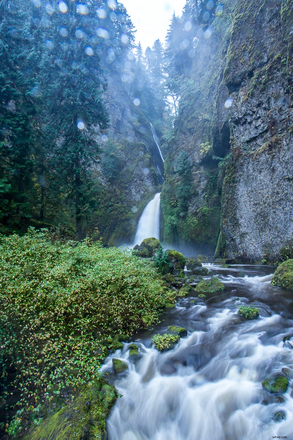 Photo Mistakes Exposed: Master the  Photo Autopsy  to Elevate Your Shots