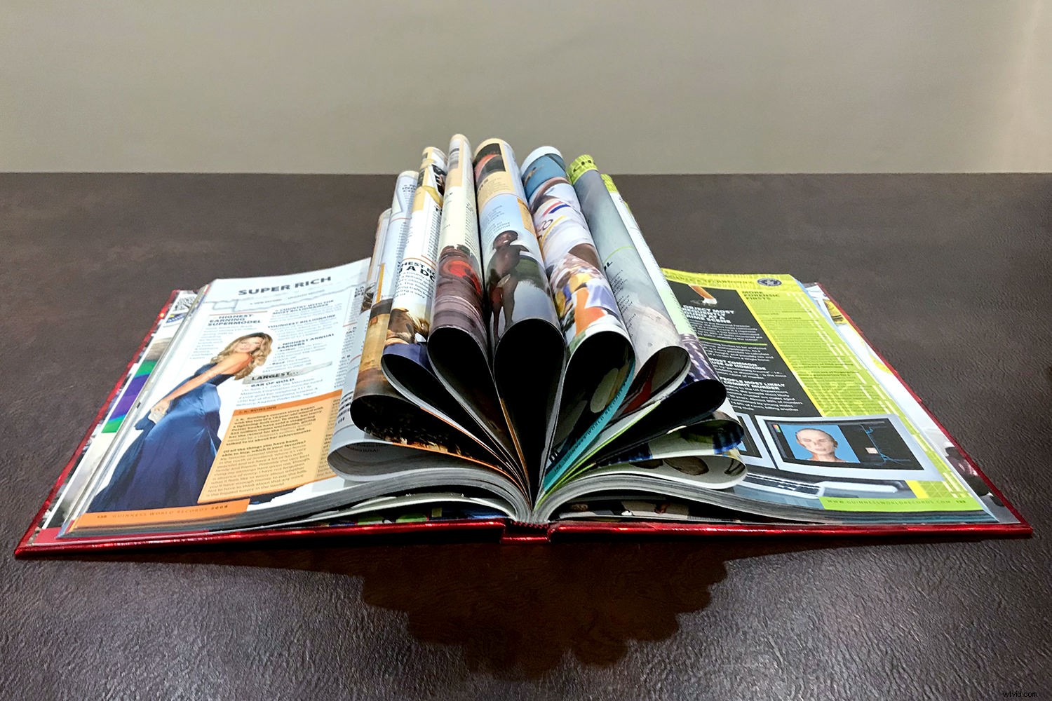 Create Stunning Artistic Photos with a Book and LED Light: Easy Tutorial