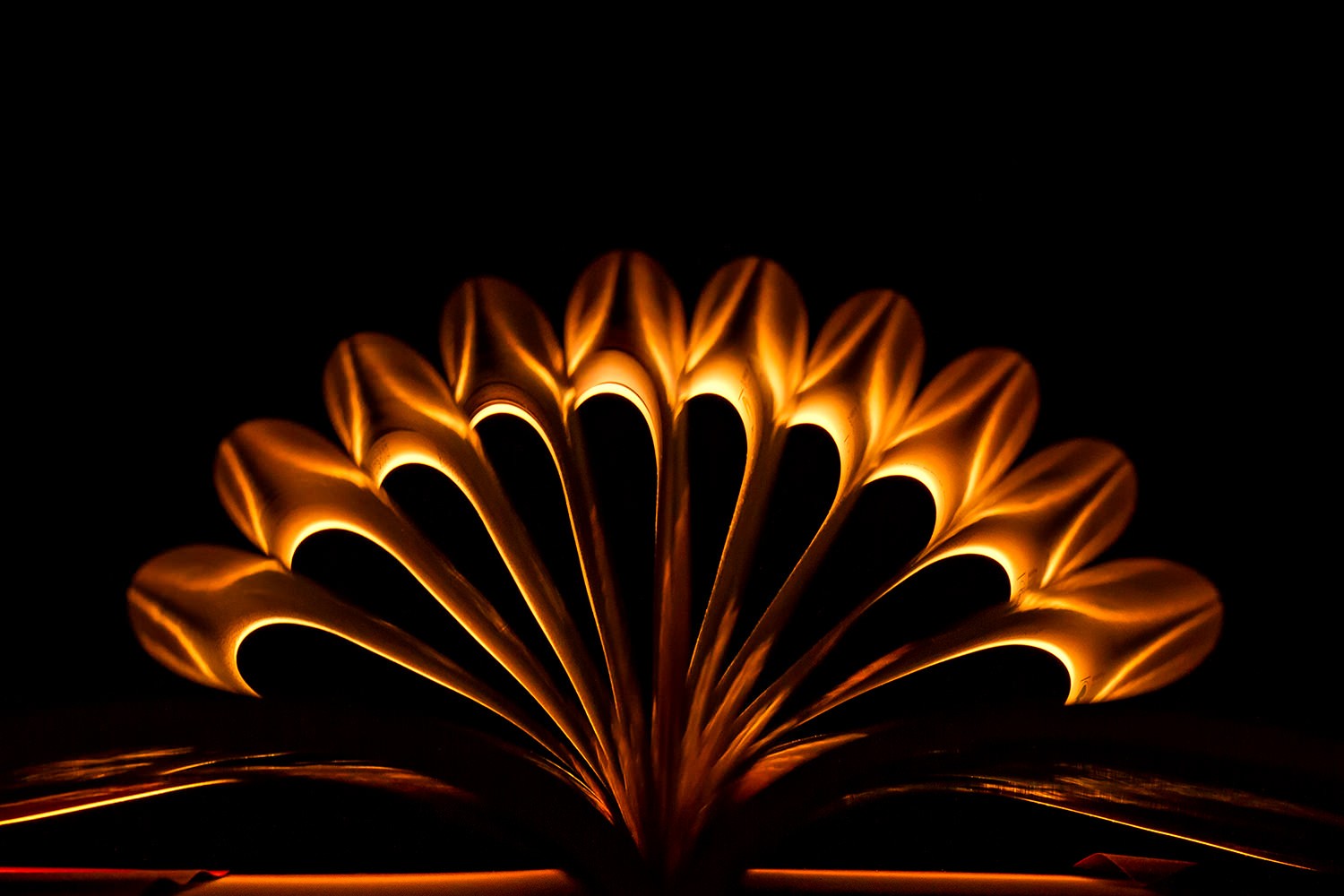 Create Stunning Artistic Photos with a Book and LED Light: Easy Tutorial