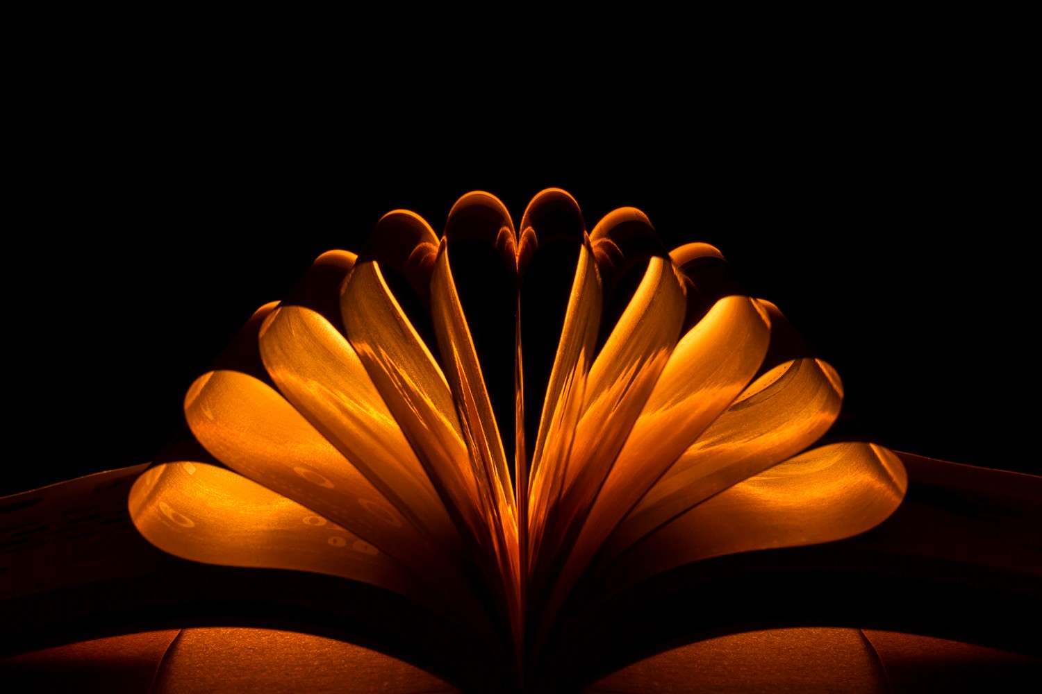 Create Stunning Artistic Photos with a Book and LED Light: Easy Tutorial