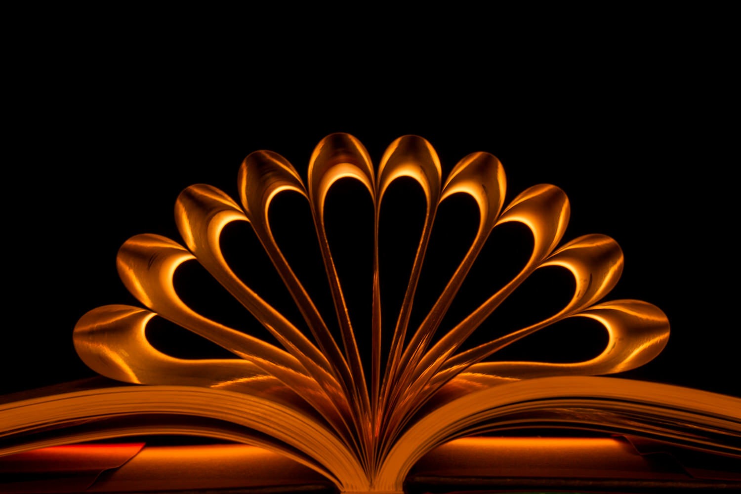 Create Stunning Artistic Photos with a Book and LED Light: Easy Tutorial