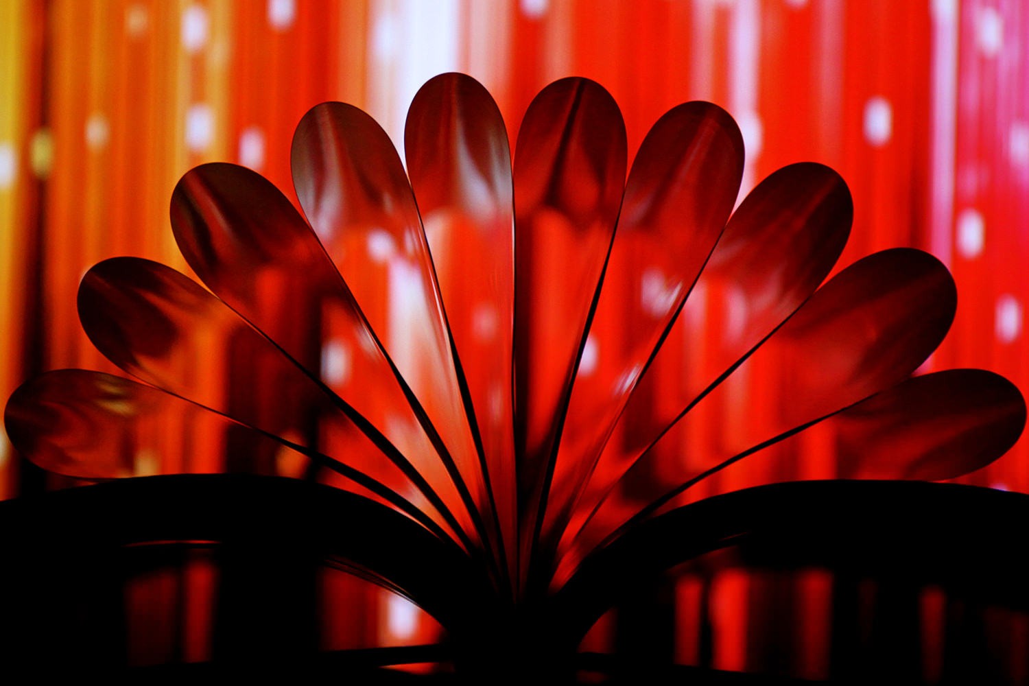 Create Stunning Artistic Photos with a Book and LED Light: Easy Tutorial