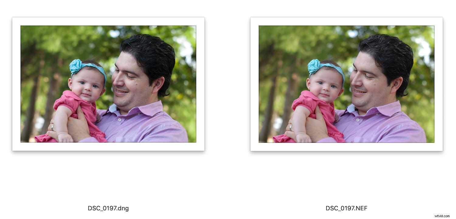 RAW vs. DNG: Key Differences and Why They Matter for Photographers